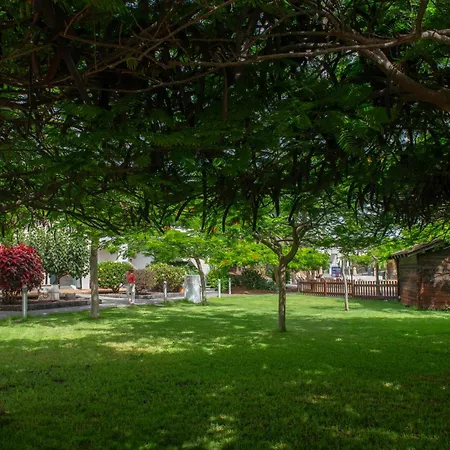 Marismas De Corralejo