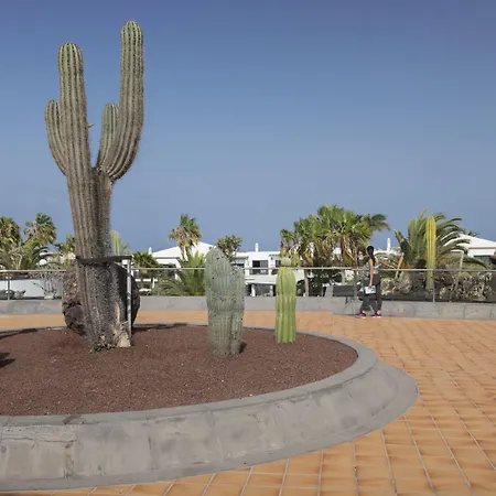 Marismas De