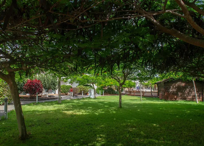 Marismas De Corralejo
