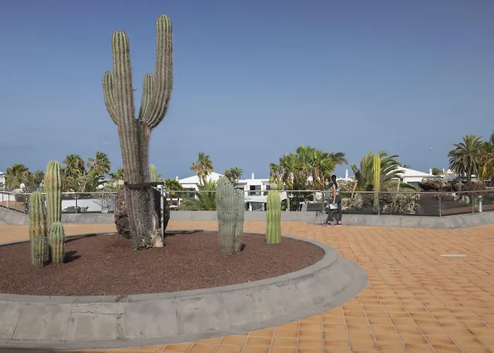 Marismas De